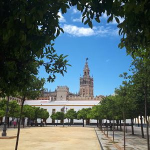 Barrios de Sevilla