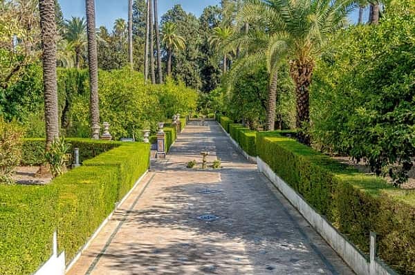 Alcázar de Sevilla: horarios, precios y cómo llegar