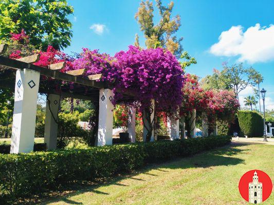 Espacios Verdes en Sevilla: Parques y Jardines para Relajarse