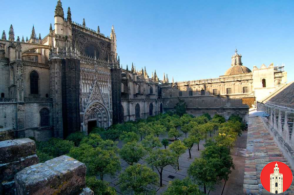 El Patio de los Naranjos: Aroma de Historia