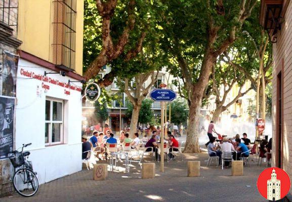 Alameda de Hércules Sevilla: Bares y terrazas