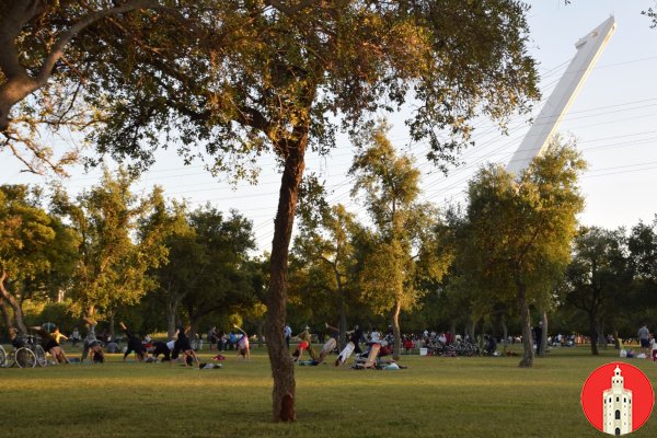 El Parque del Alamillo: Naturaleza en la Ciudad