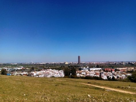 ¡5 miradores para ver Sevilla desde arriba!