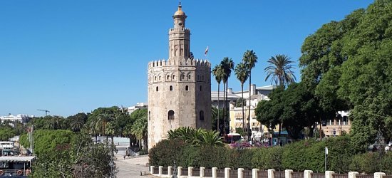 Visita Sevilla gratis