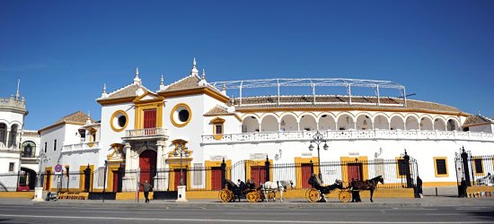 Visita Sevilla gratis