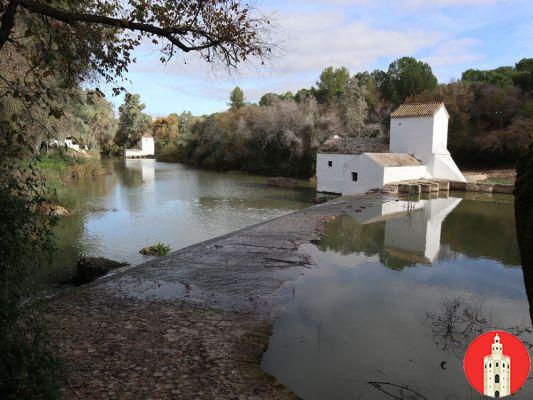 Que ver en Alcalá de Guadaíra: el castillo y los molinos